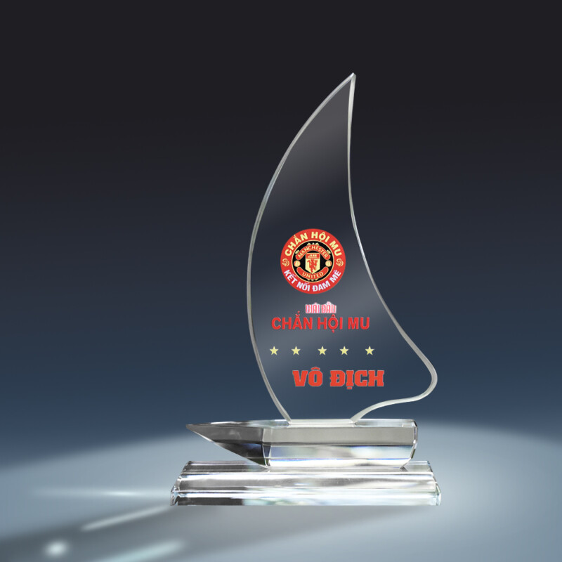 Mẫu kỷ niệm chương đẹp