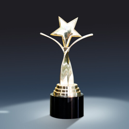 Cúp vinh danh kim loại 2