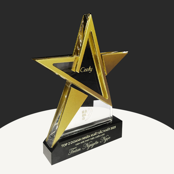 Kỷ niệm chương 24 hình ngôi sao vàng