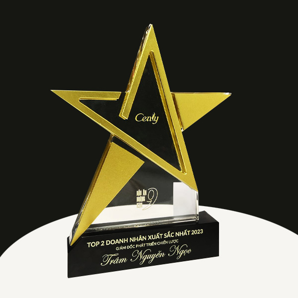 Kỷ niệm chương ngôi sao