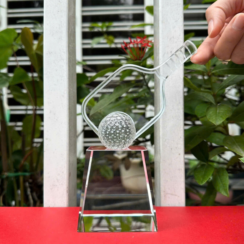 Cúp Pickleball 1