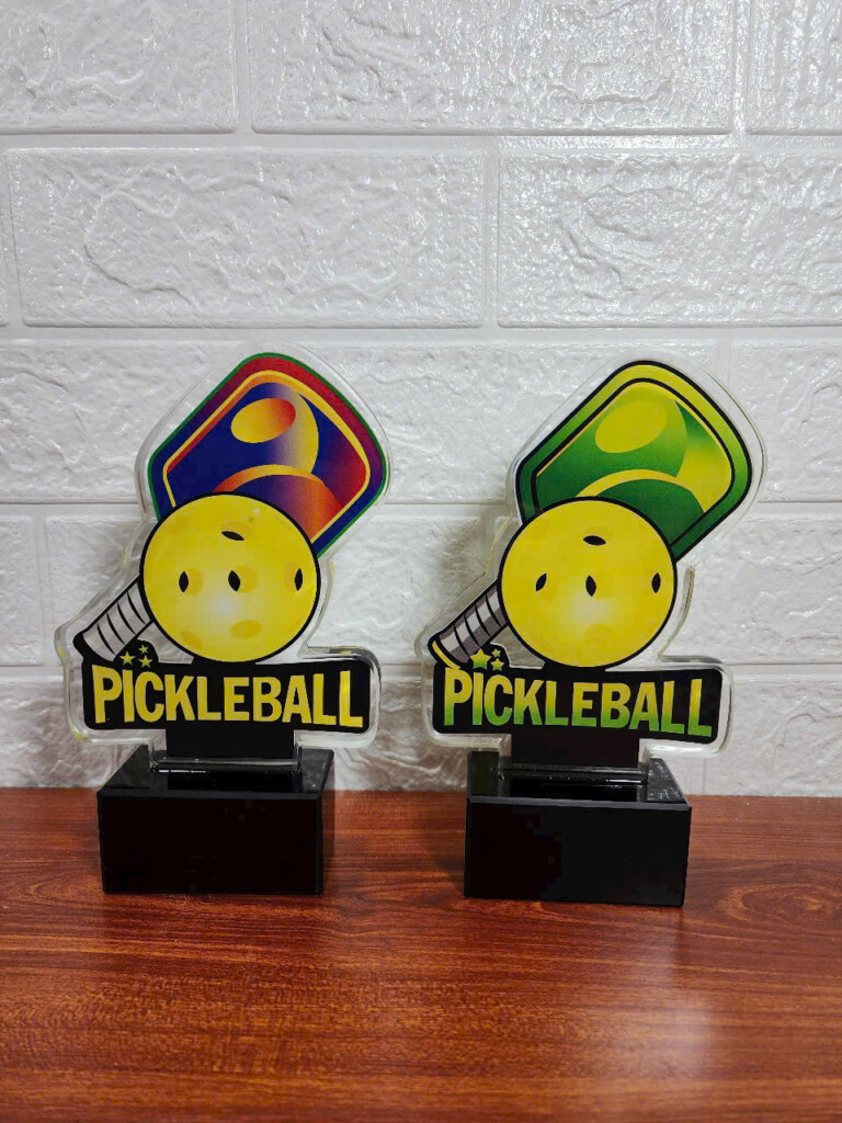 Cúp Pickleball 15